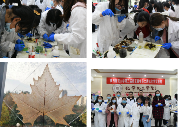 叶脉书签.png 叶脉书签.png